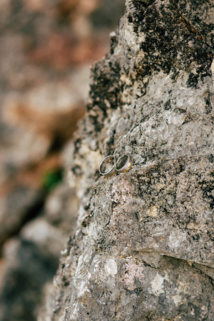Wedding rings on the stones in the grass. Wedding in Montenegro.の写真素材