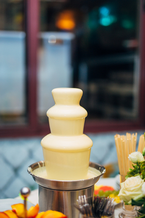 Chocolate fountain on the table at the wedding banquet.の写真素材
