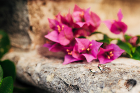 Wedding rings on the stones in the grass. Wedding in Montenegro.の写真素材