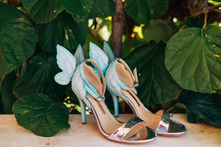 Wedding shoes of a bride in the leaves of a kiwi tree, a wedding in Montenegro.の写真素材