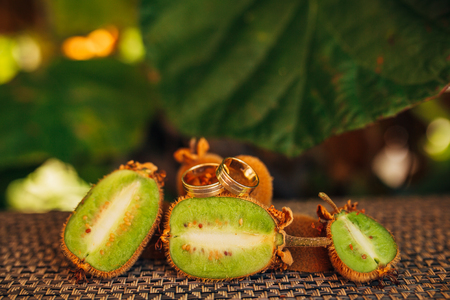 Wedding rings on the cut of kiwi. Wedding in Montenegro.の写真素材