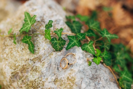 Wedding rings on the stones in the grass. Wedding in Montenegro.の写真素材