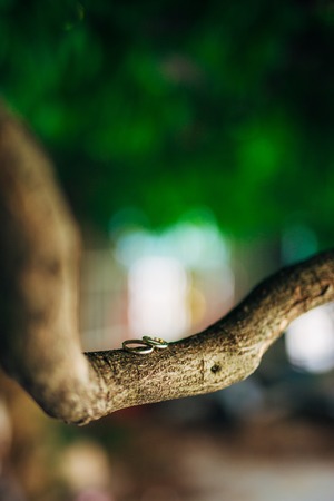 Gold wedding rings on a wooden backgroundの写真素材