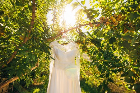 The brides dress on a hanger in the green in Montenegroの写真素材