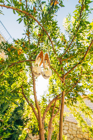 Wedding shoes of the bride hang on a branch of an olive tree, a wedding in Montenegro.の写真素材