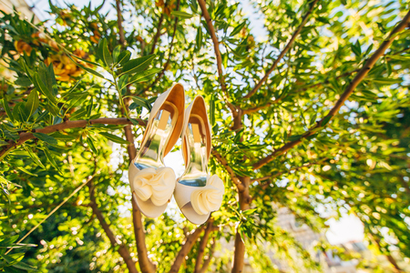 Wedding shoes of the bride hang on a branch of an olive tree, a wedding in Montenegro.の写真素材