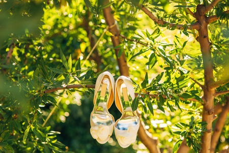 Wedding shoes of the bride hang on a branch of an olive tree, a wedding in Montenegro.の写真素材
