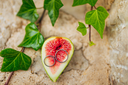 Wedding rings on figs. Wedding in Montenegroの写真素材