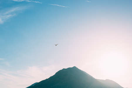 photo of gull in sky with clouds and bright sunの写真素材