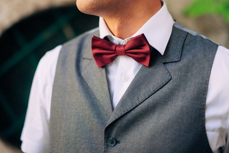 Tie Butterfly close-up. Wedding groom suit. Wedding in Montenegroの写真素材
