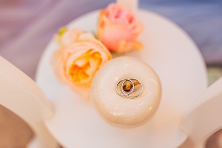 Wedding rings of a newly-married couple on a cushion for rings. Engagement gold rings. Wedding in Montenegro.の写真素材
