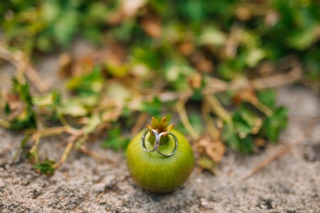 Wedding rings on Garnet. Wedding in Montenegro.の写真素材
