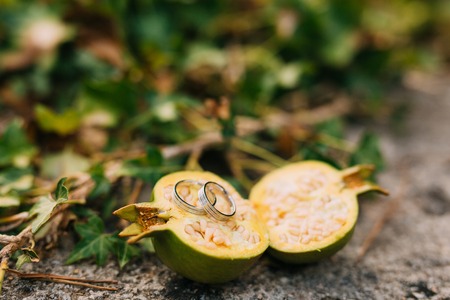 Wedding rings on Garnet. Wedding in Montenegro.の写真素材