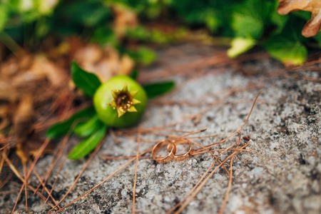 Wedding rings on Garnet. Wedding in Montenegro.の写真素材