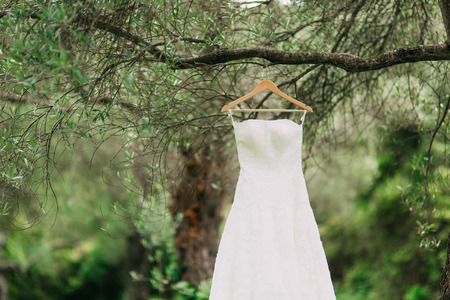 The brides dress hangs on a hanger on an olive tree. Collecting brides in an olive grove in Montenegro. Wedding in Europe.の写真素材