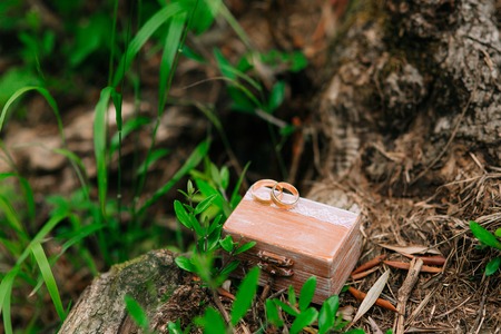 Wedding rings in a wooden box for rings handmade in the grass.