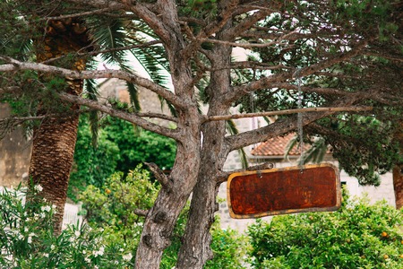 Board for inscriptions in the forest. Montenegroの写真素材