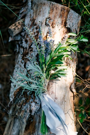 Wedding bouquet with lavender ribbon on tree barkの写真素材