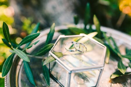 Wedding rings on a silver tray with olive branches. Wedding jewelry.の写真素材