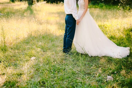 A couple is holding hands in an olive grove. Newlyweds in an olive grove holding hands. Wedding in Montenegro.の写真素材