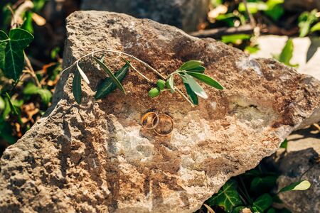 Wedding rings on the stones in the grass. Wedding in Montenegro.の写真素材