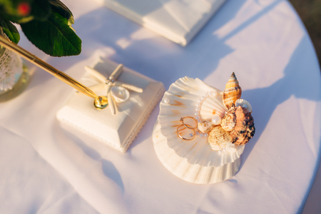 Wedding rings of a newly-married couple on a cushion for rings. Engagement gold rings. Wedding in Montenegro.の写真素材