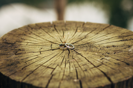 Gold wedding rings on a wooden backgroundの写真素材