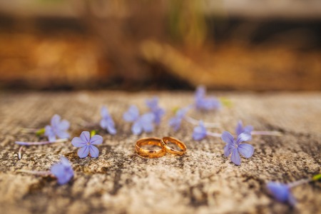 Wedding rings on flowers. Wedding in Montenegroの写真素材