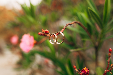 Gold wedding rings on a wooden backgroundの写真素材