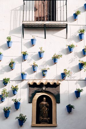 Blue flower pots on the wall. Flowers in pots in sunset lightの写真素材