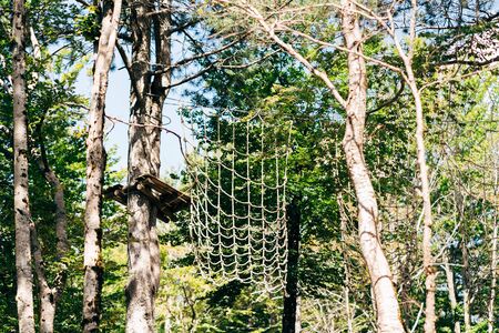 Climbing park high in the trees. Obstacle course in amusement park. Outdoor sports activity....