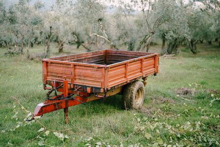 A metal car trailer in an olive grove.の写真素材