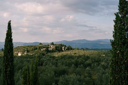 Classic views of Tuscany in Italy. Green olive groves to the horizon, cypress trees, and antique villas on the hills in the sunset light.の写真素材