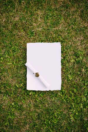 Empty white sheet on the grass. Wedding invitation or vows of the bride and groom.の写真素材