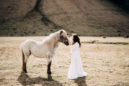The bride in a white wedding dress strokes a white horse in the face. Destination Iceland wedding photo session with Icelandic horses.の写真素材