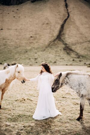The bride strokes simultaneously two horses. Destination Iceland wedding photo session with Icelandic horses.の写真素材