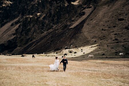 Wedding couple on the background of a rocky mountain and grazing horses in Iceland. The bride and groom run across the field, holding hands.の写真素材
