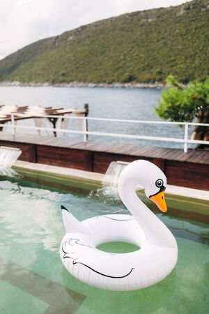 An inflatable swimming circle in the shape of a white swan floats in the pool.の写真素材