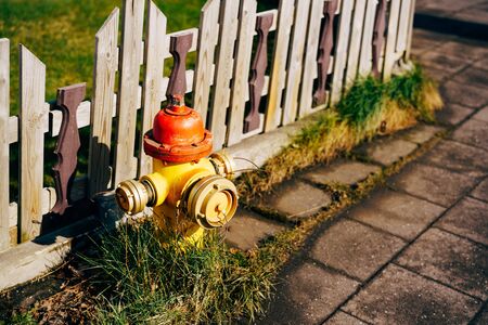 Yellow fire hydrant with red cap and silver lids. In the grass near a wooden fence.の写真素材