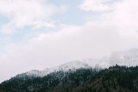Snow-covered mountain top with coniferous forest in Montenegroの写真素材