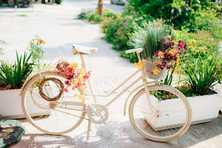 Decorative bike with bright colors on white asphaltの写真素材