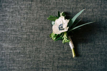A budier with a white flower on a gray background.の写真素材