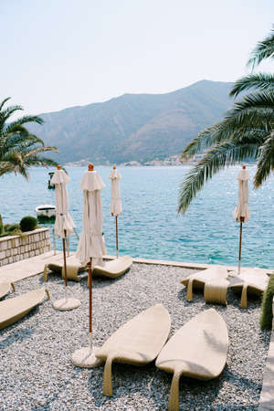 Plastic beach loungers on a pebble beach. Kotor Bay in Montenegro, the city of Dobrota. Under the branches of date palms.の写真素材