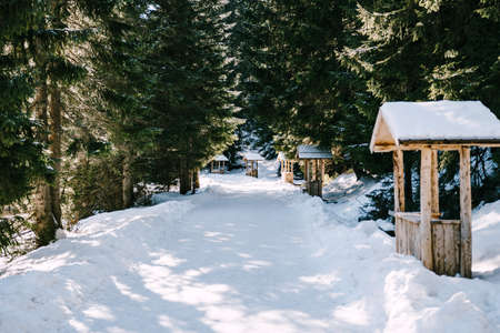 Wooden kiosks for souvenir products on the sides of the path in the snow with tall green trees.の写真素材