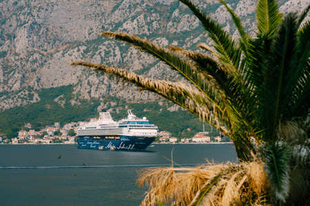 Budva, Montenegro - 01 june 2020: A huge multi-deck cruise liner in Kotor Bay, against the backdrop of a mountain above the city of Dovrota and Ljuta in Montenegro.のeditorial素材