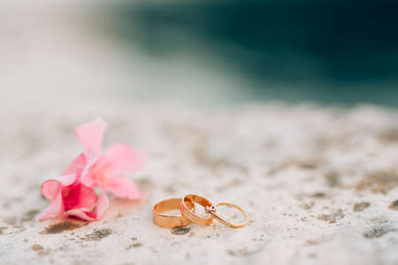 Gold rings for a wedding and a precious ring for the bride on a blurred background with a pink flower.の写真素材