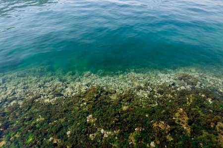 Deep blue sea on the shore.