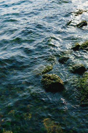 Stones in moss in sea water.