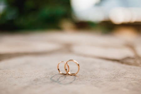 Gold rings for a wedding in an upright position on a blurred background.