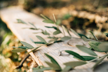 Brides engagement ring with a gem on a wooden board with sprigs of olive tree on a blurred background.の写真素材